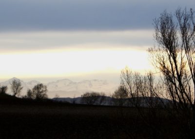 SONY DSC